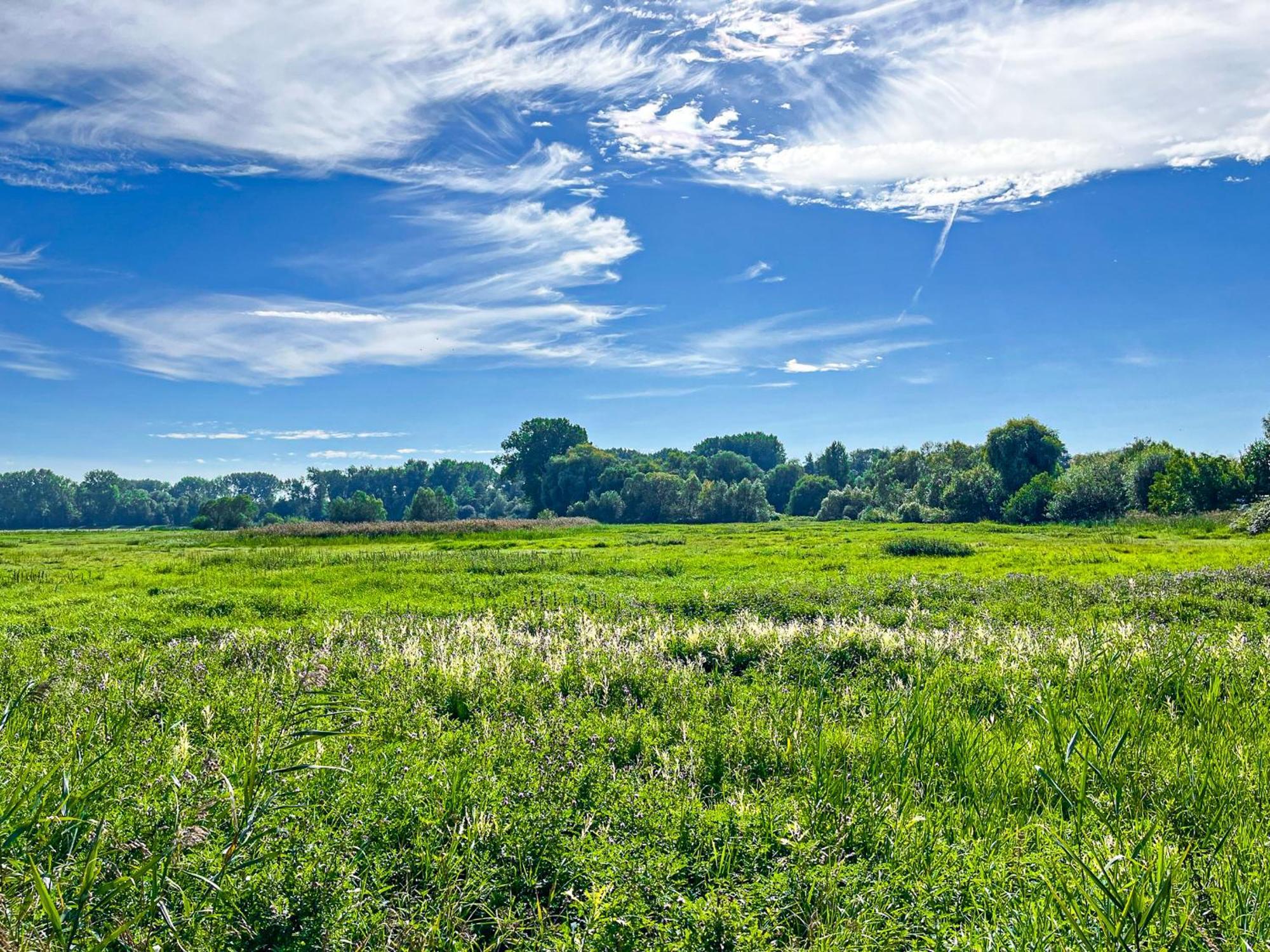 Haffblick Wohnung 65 Boltenhagen  Exteriér fotografie